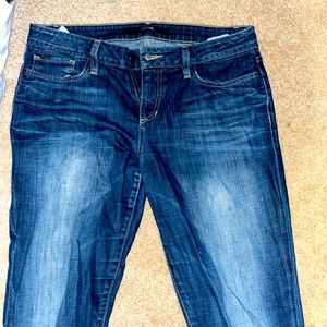 Joe Jeans Chelsea Skinny Jean